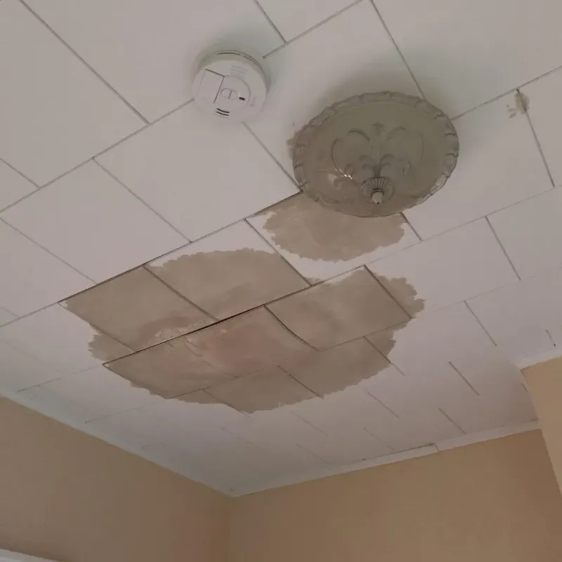 Ceiling Water Damage Repair in Hamburg, PA