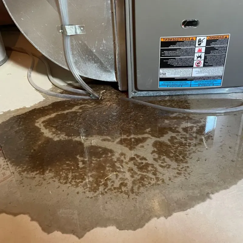Pipe Burst and Leak Restoration in Hamburg, PA