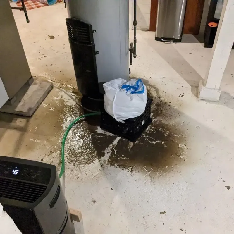 Sewage Backup Cleanup Service in Hamburg, PA